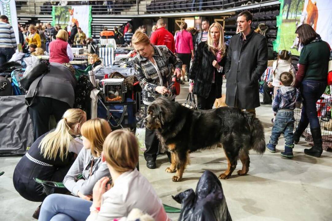 „Žalgirio” arenoje amsėjo per 1200 šunų 