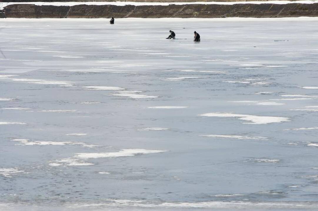 Kaune poledinės žvejybos mėgėjai meškerių dar nedžiauna 