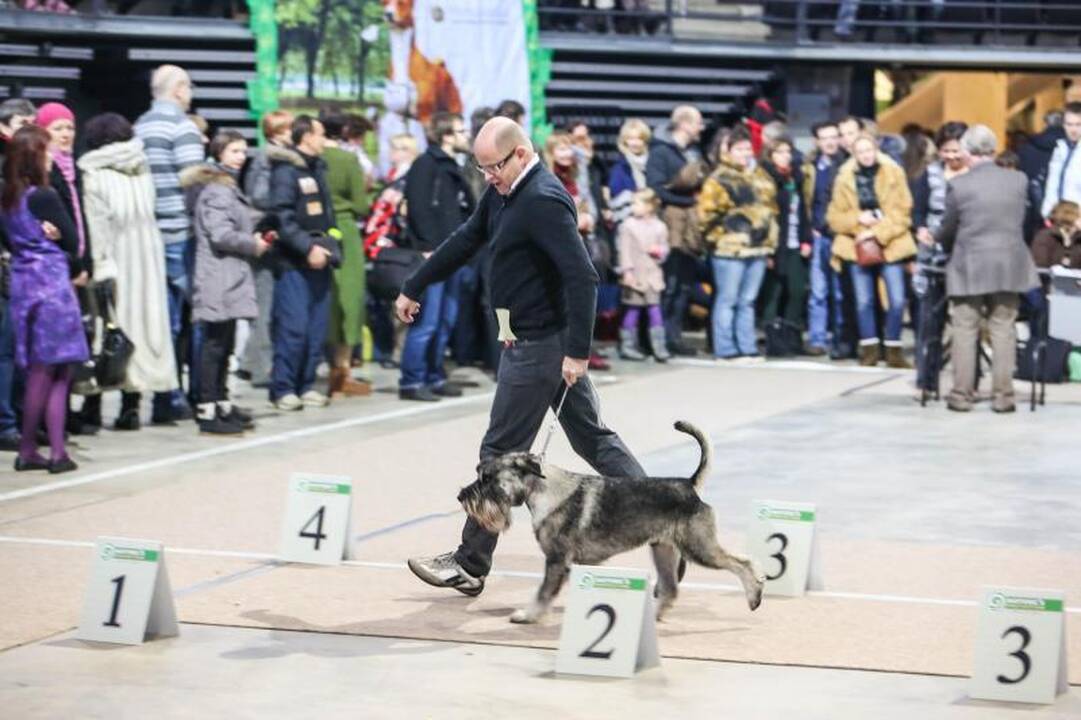 „Žalgirio” arenoje amsėjo per 1200 šunų 