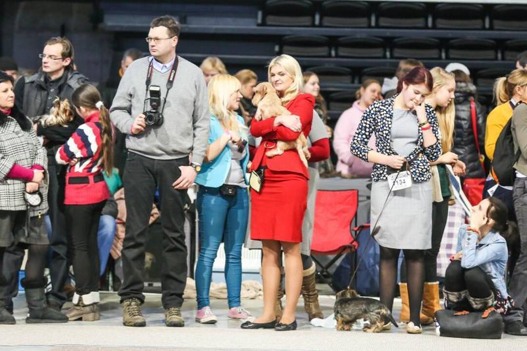 „Žalgirio” arenoje amsėjo per 1200 šunų 
