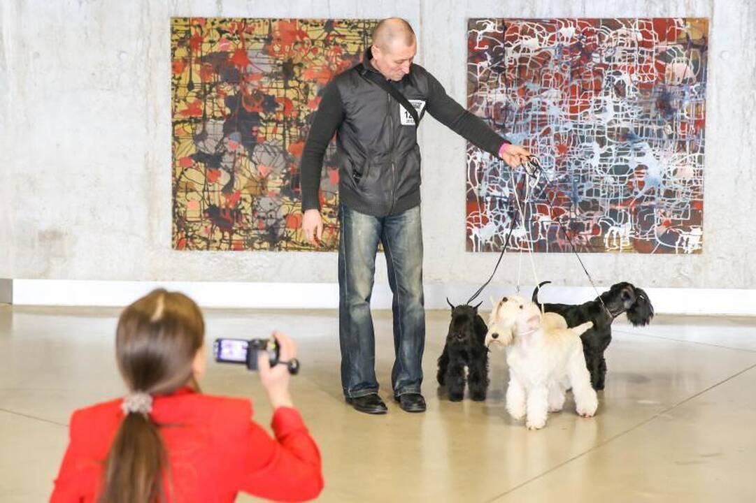 „Žalgirio” arenoje amsėjo per 1200 šunų 
