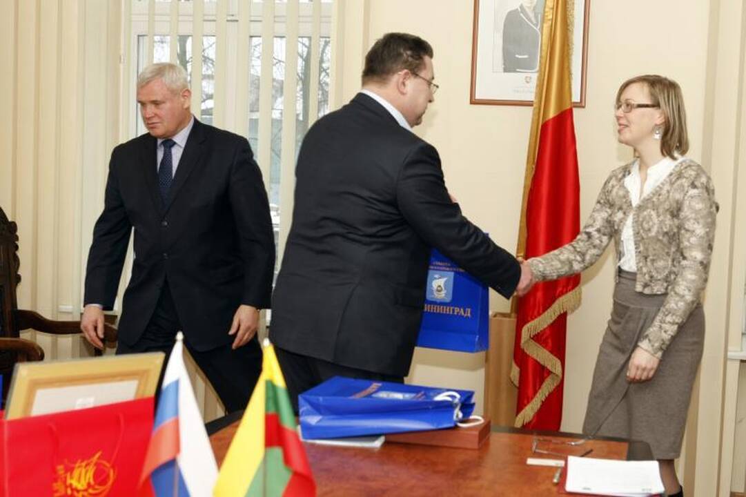 Katedros aikštėje „dygsta“ eglė