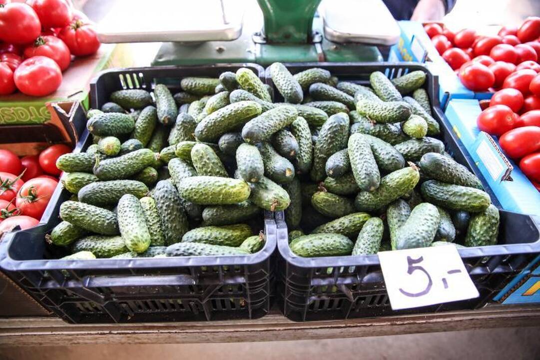 Kauno turguje lietuviški agurkai dukart brangesni už lenkiškus