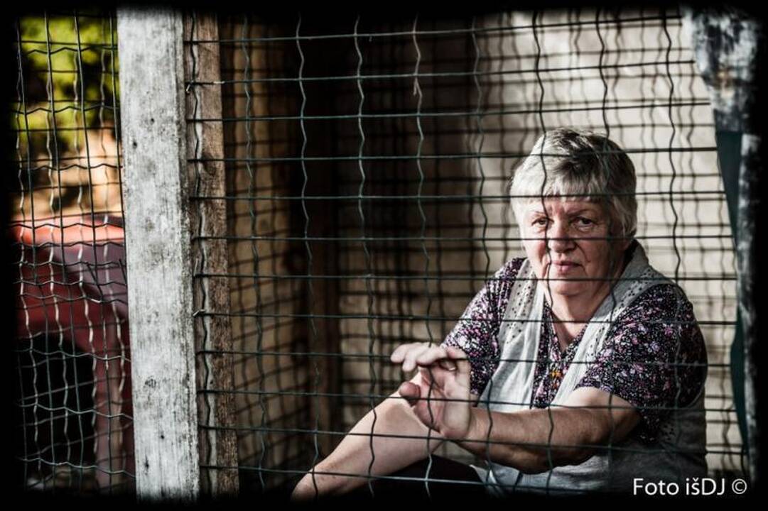 Savanoriai savo kailiu išbandė šunišką gyvenimą 