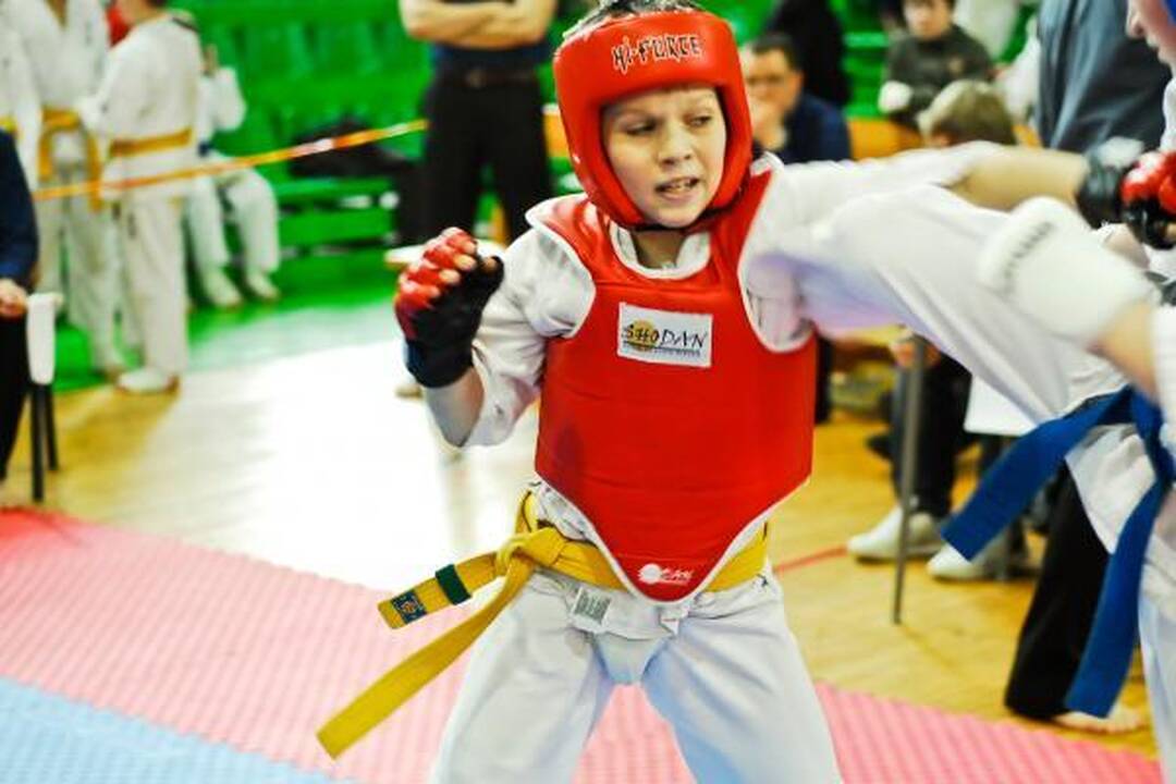 „Shodan“ mokykla - ir vėl stipriausia Lietuvos vaikų čempionate