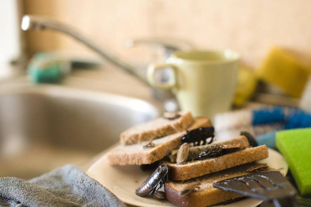 Su sąskaitomis už šildymą – tarakonai ir infekcijos