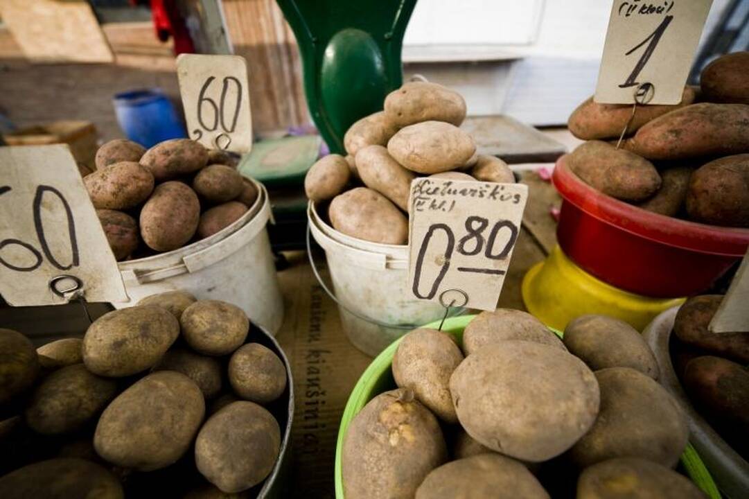 Turgaus prekystaliai lūžta nuo daržovių, bet trūksta pirkėjų
