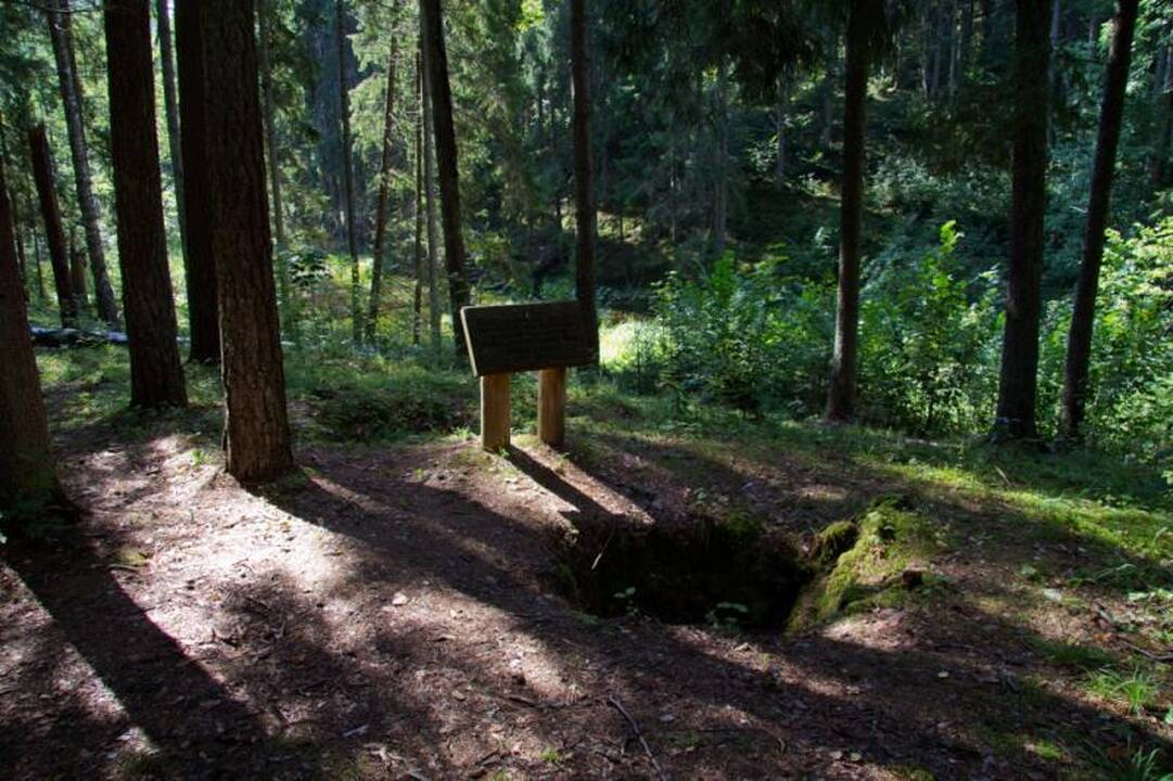 Kelionė po Aukštaitijos perlą - Sartų regioninį parką