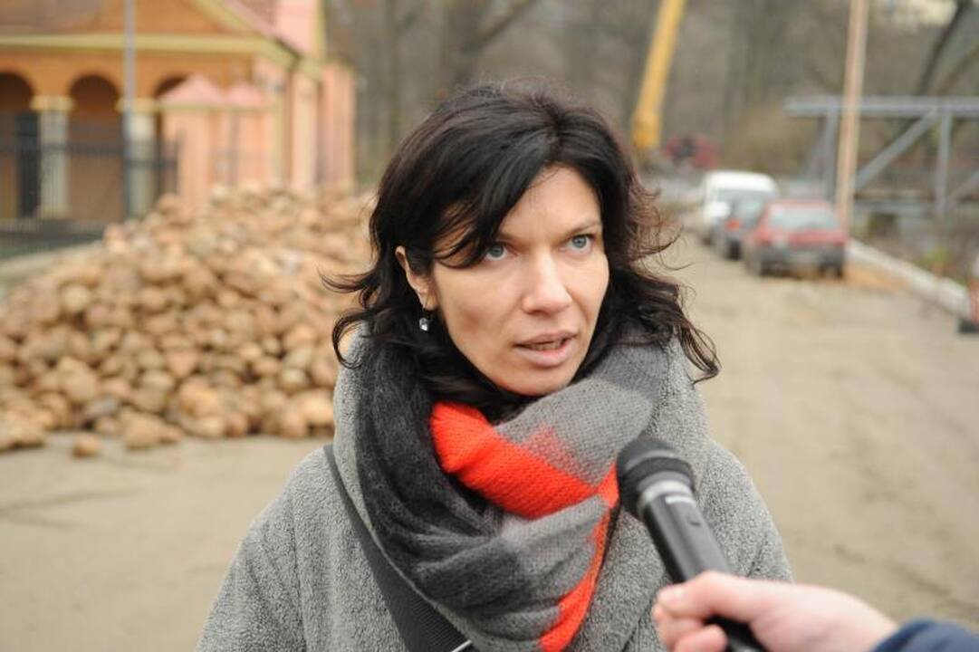 Užupiečiai pašiurpę: Sereikiškėse kapojamas seniausias miesto ąžuolas