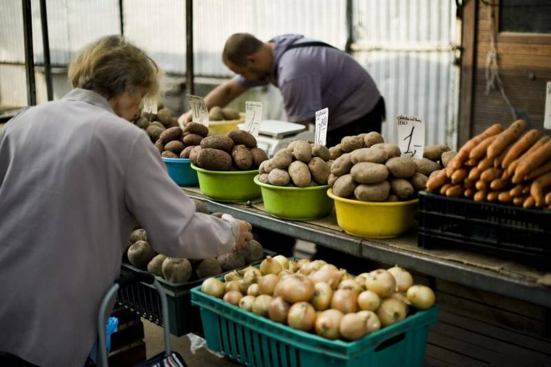 Turgaus prekystaliai lūžta nuo daržovių, bet trūksta pirkėjų