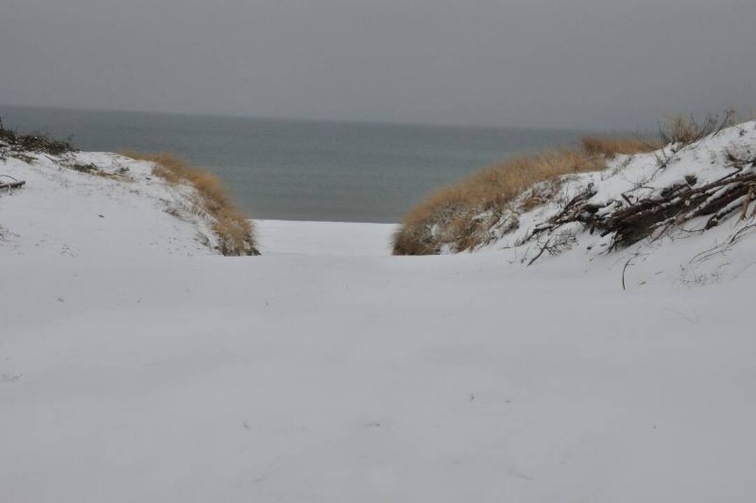 Į Kuršių neriją - ramybės pasisemti (patarimai keliaujantiems)