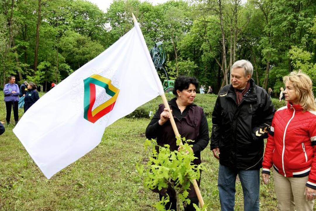 Unikalių Lietuvos ąžuolų giraitė plečiasi