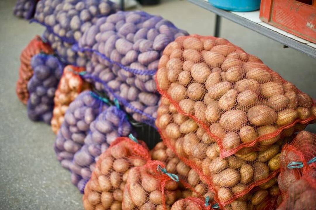 Turgaus prekystaliai lūžta nuo daržovių, bet trūksta pirkėjų