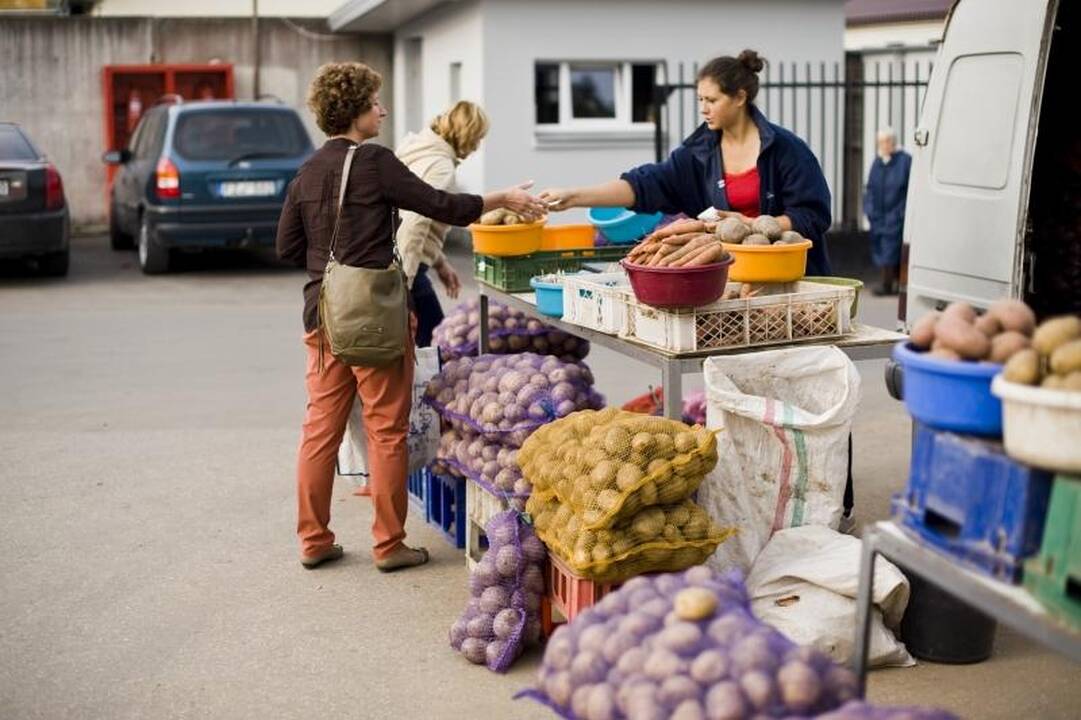 Turgaus prekystaliai lūžta nuo daržovių, bet trūksta pirkėjų