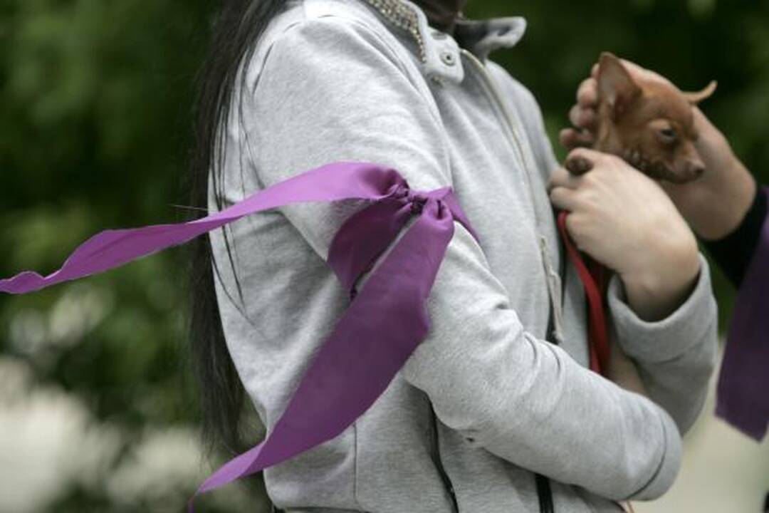 Prie prokuratūros reikalauta teisėsaugos institucijų apsivalymo