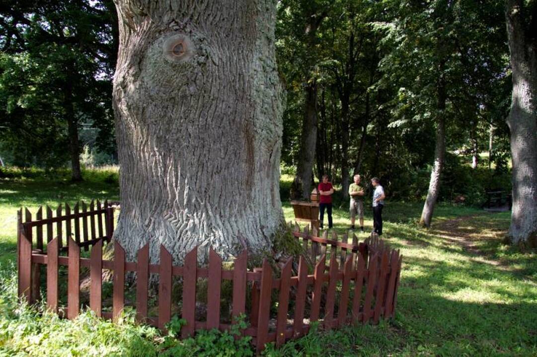 Kelionė po Aukštaitijos perlą - Sartų regioninį parką