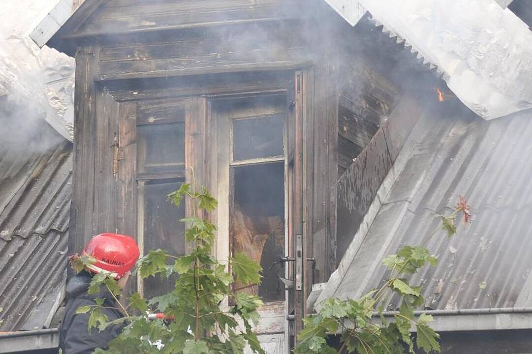 Gaisras Žaliakalnyje kilo dėl vaikų neatsargumo?