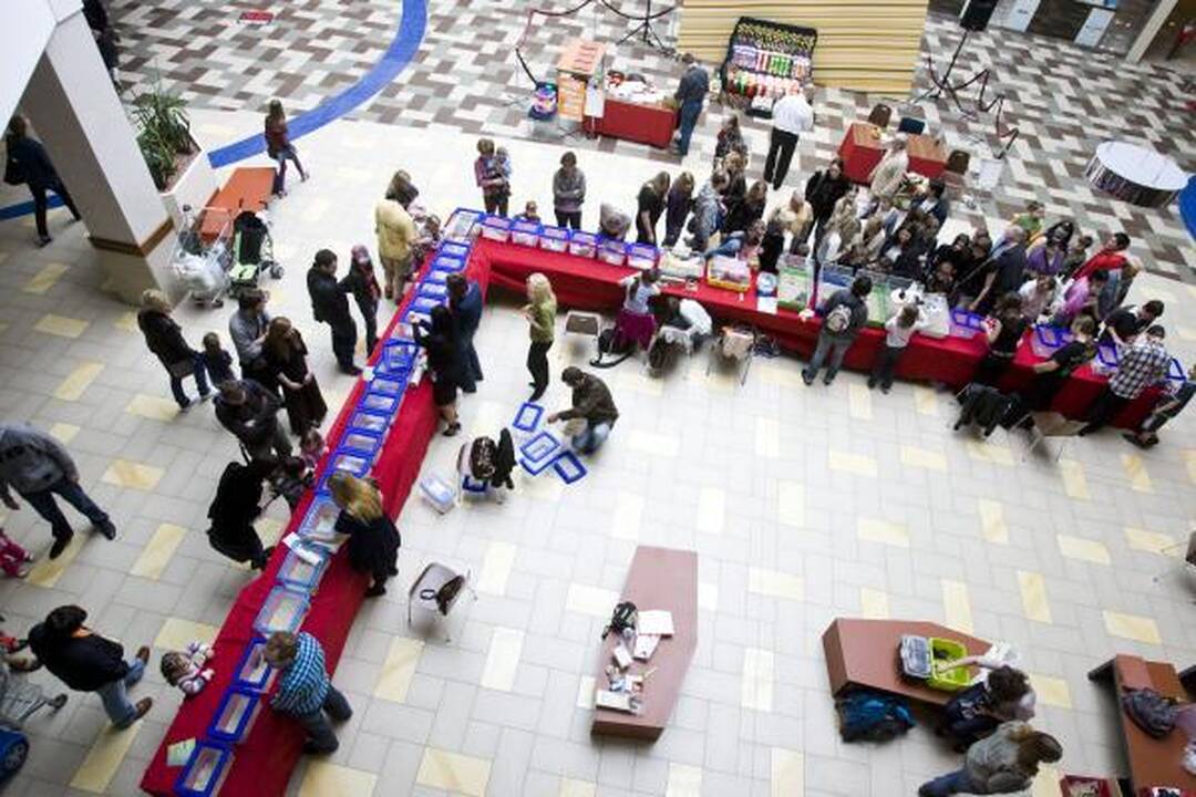 Vilniuje – kilmingų dekoratyvinių graužikų paroda 