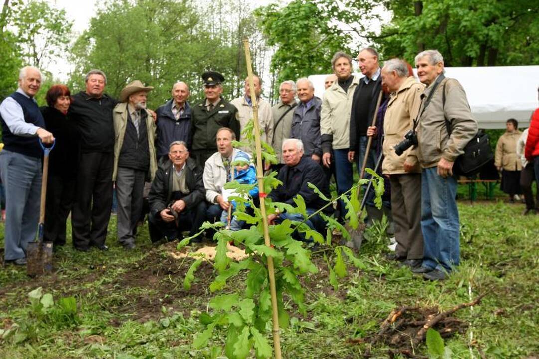 Unikalių Lietuvos ąžuolų giraitė plečiasi