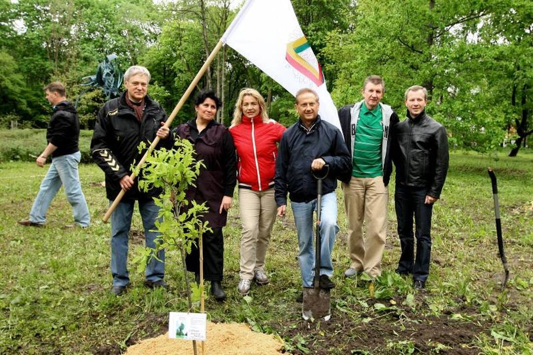 Unikalių Lietuvos ąžuolų giraitė plečiasi