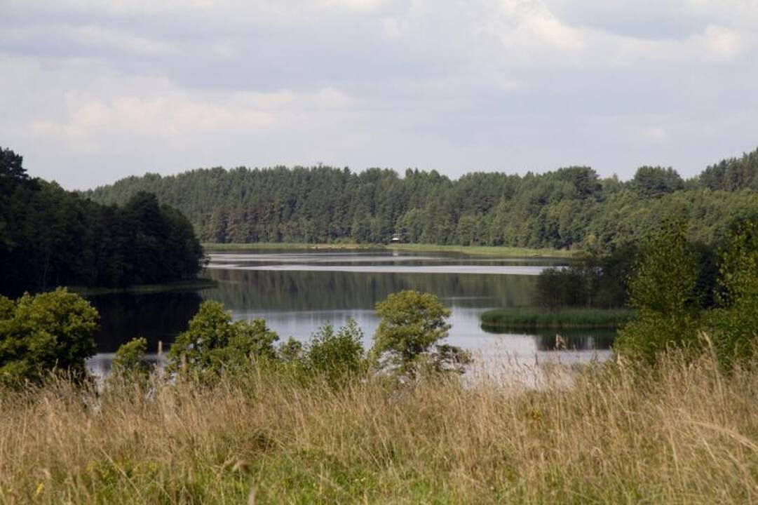 Kelionė po Aukštaitijos perlą - Sartų regioninį parką