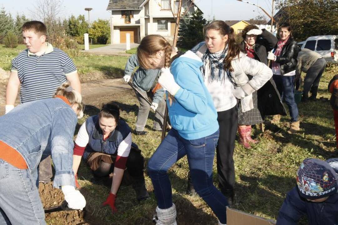 Jakų parke atidaryta nauja žaliuojanti alėja