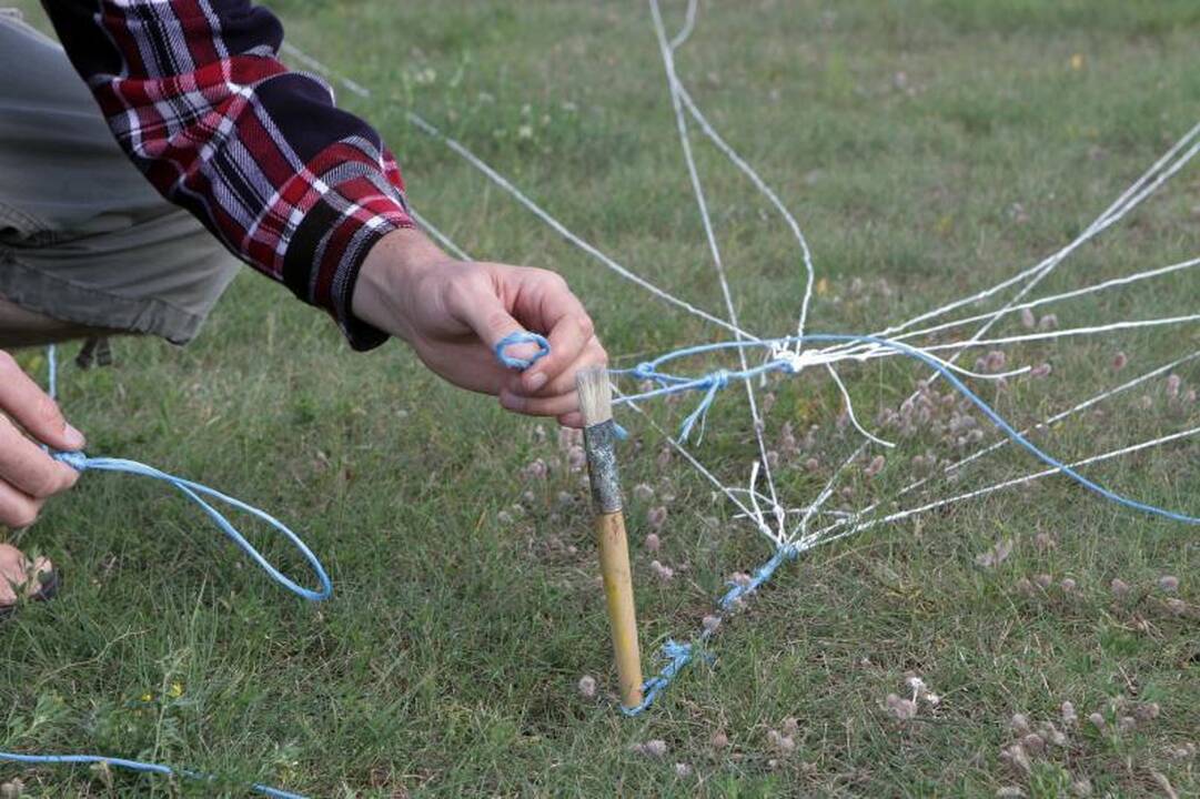 Baltijos jūros dieną skelbė milžiniškas aitvaras