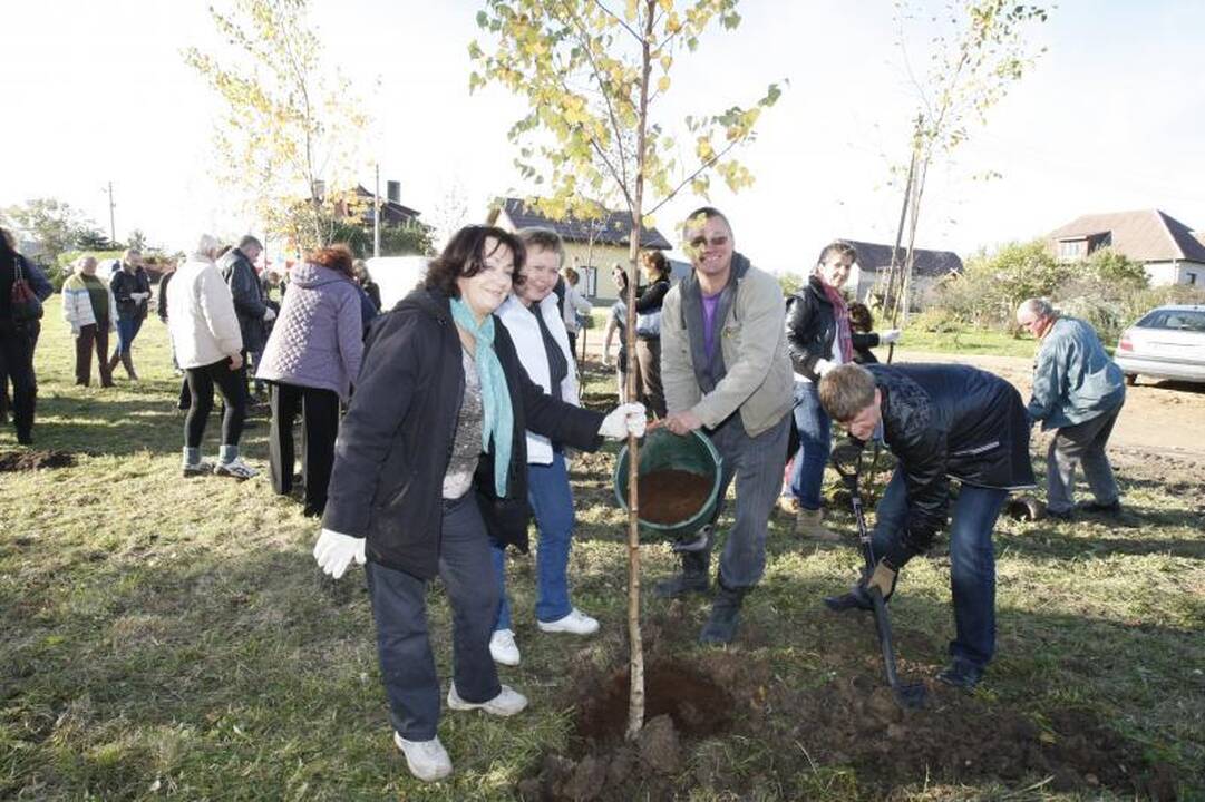 Jakų parke atidaryta nauja žaliuojanti alėja