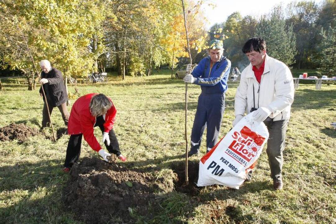 Jakų parke atidaryta nauja žaliuojanti alėja