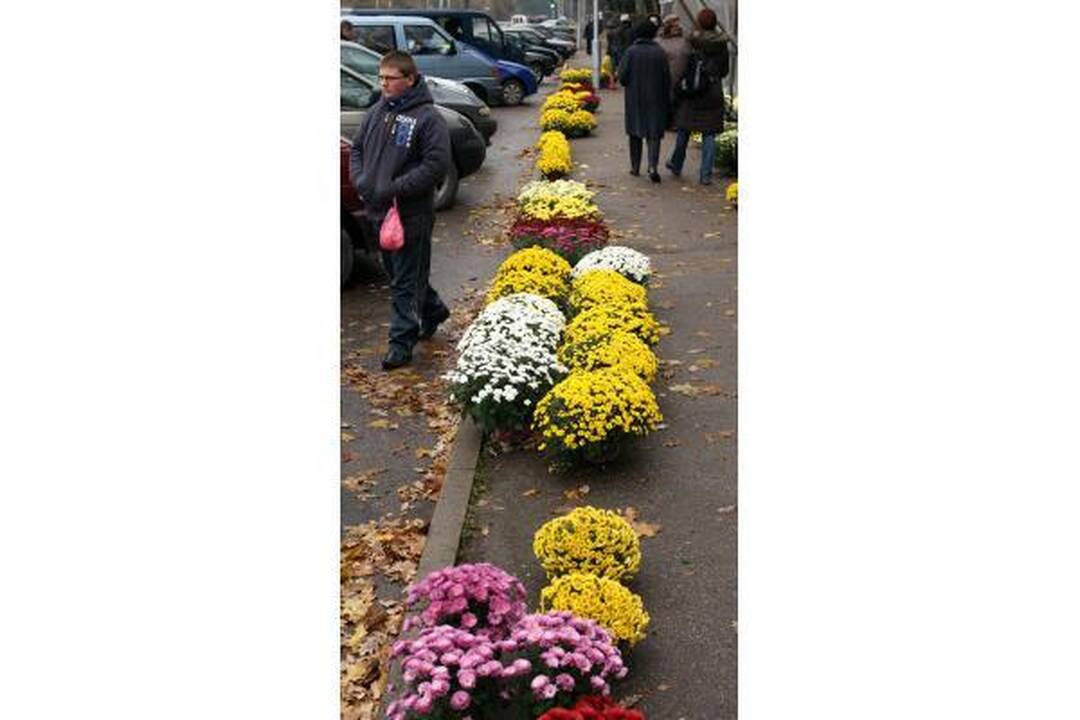 Pigiausios gėlės ir žvakės - prie Kauno kapinių