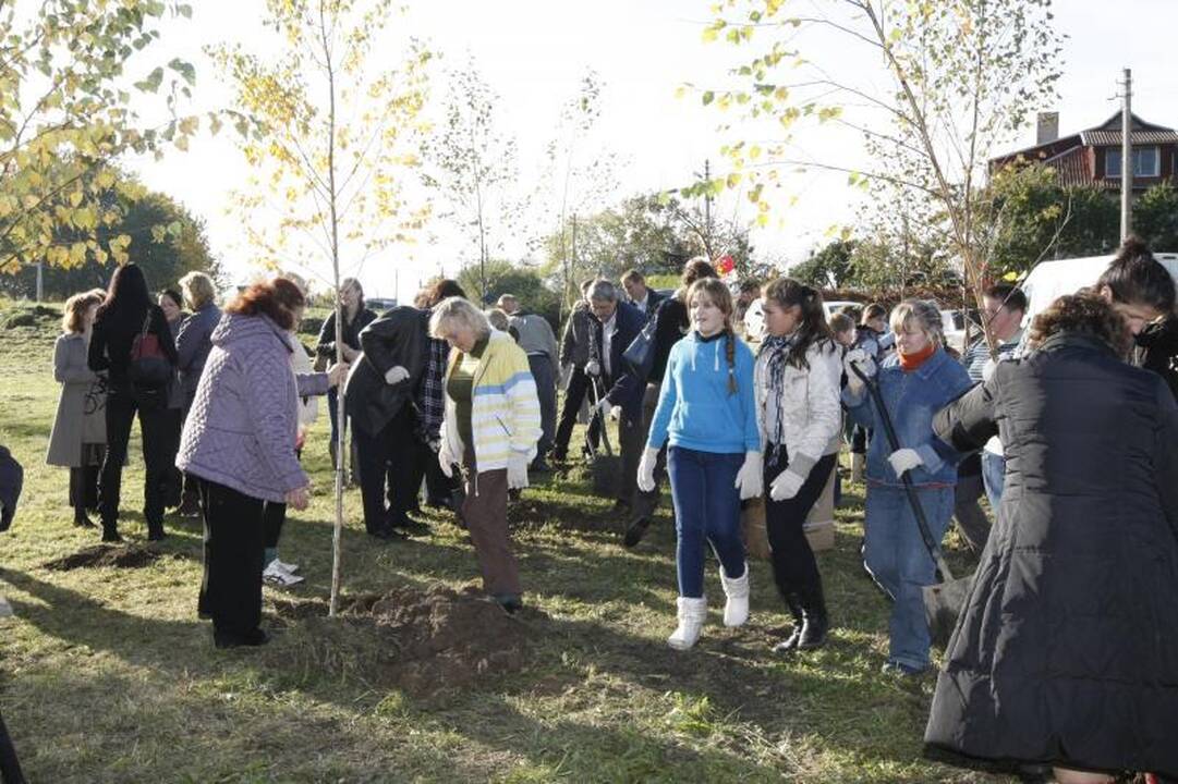 Jakų parke atidaryta nauja žaliuojanti alėja