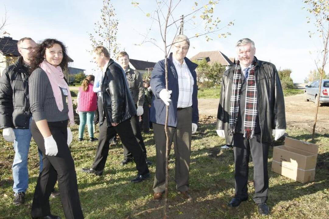 Jakų parke atidaryta nauja žaliuojanti alėja