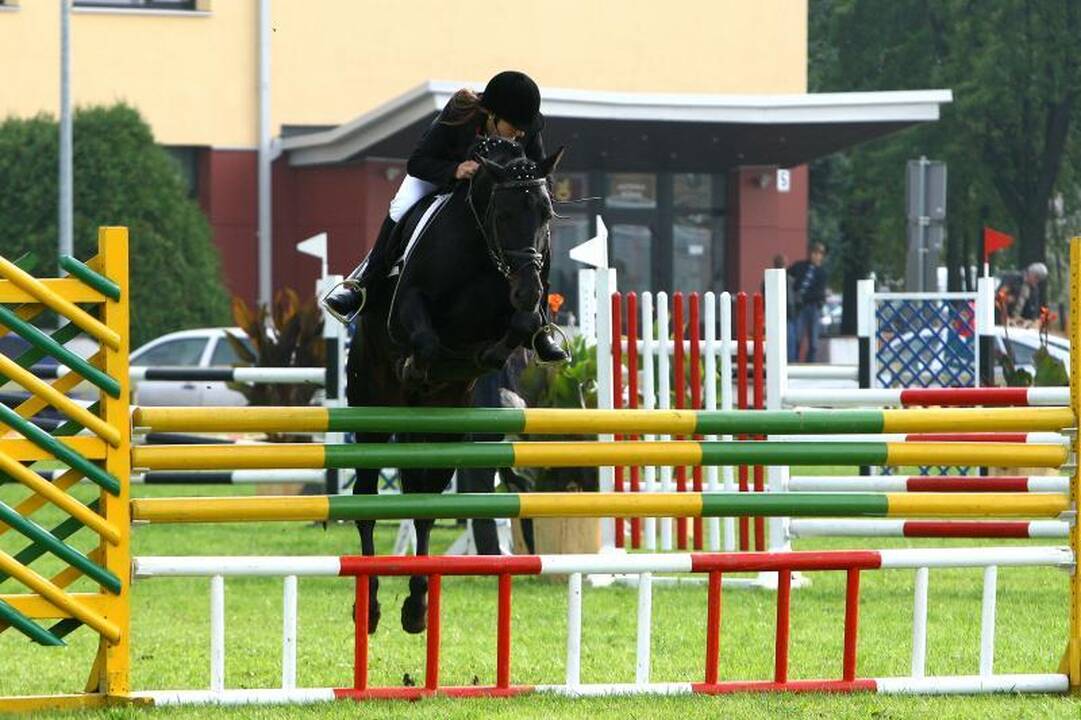 „Sprendimų ratas“: medžioklės trofėjai ir elnių kvieslių varžybos
