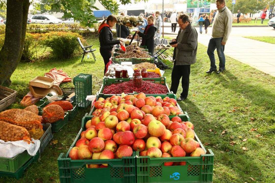 „Sprendimų ratas“: medžioklės trofėjai ir elnių kvieslių varžybos