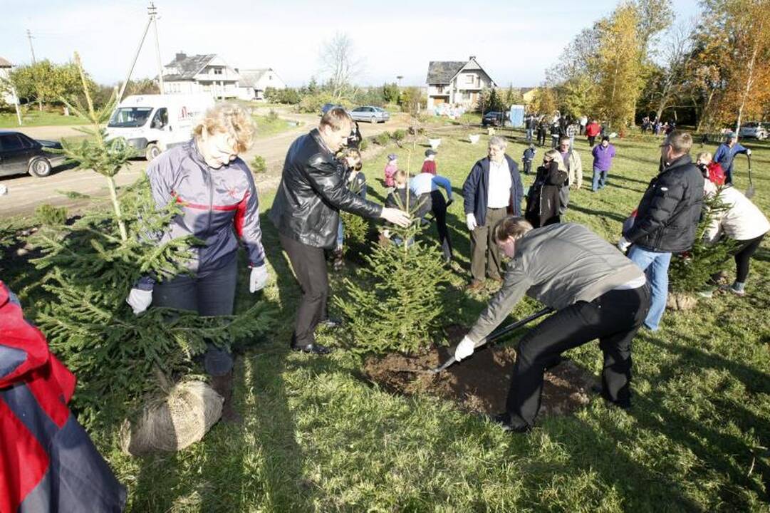 Jakų parke atidaryta nauja žaliuojanti alėja