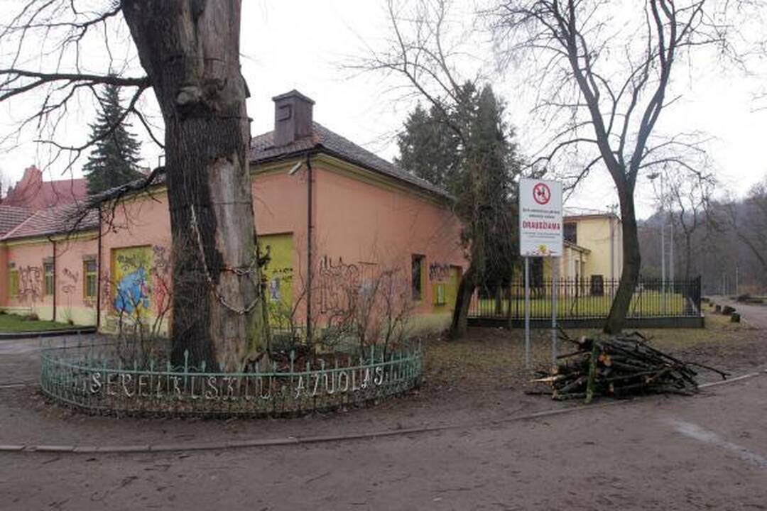 Iškirsti medžiai Sereikiškių parke papiktino vilniečius (papildyta)