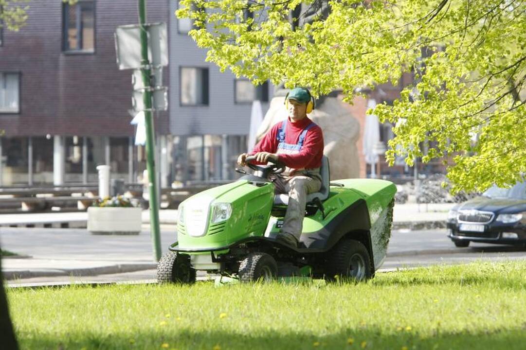 Klaipėdos aikštės, parkai, kiemai bus šienaujami rečiau