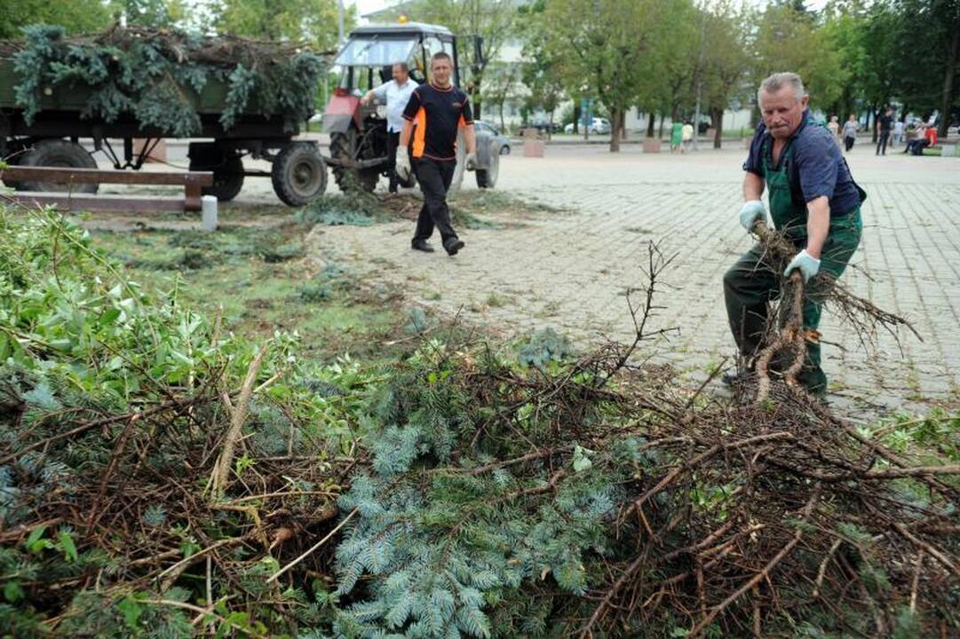 Šalčininkuose vėtra apsėmė kelius, vertė medžius