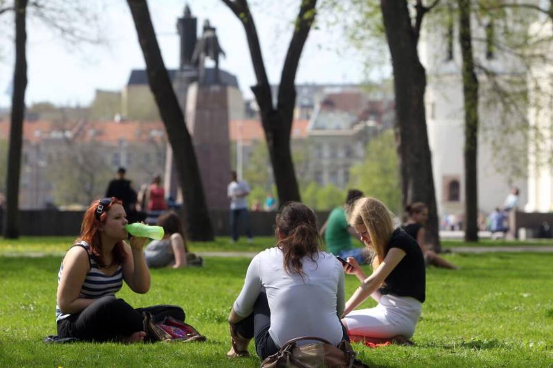 Nors ir kukli, trumpam sugrįš   vasara  