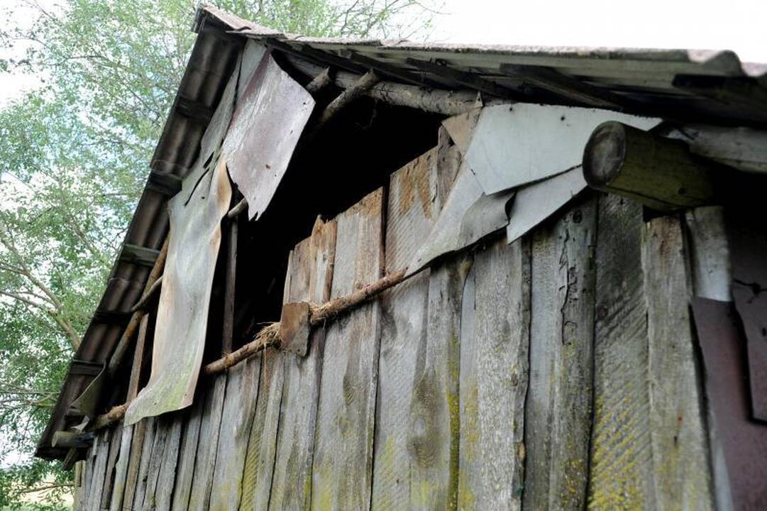 Šalčininkuose vėtra apsėmė kelius, vertė medžius