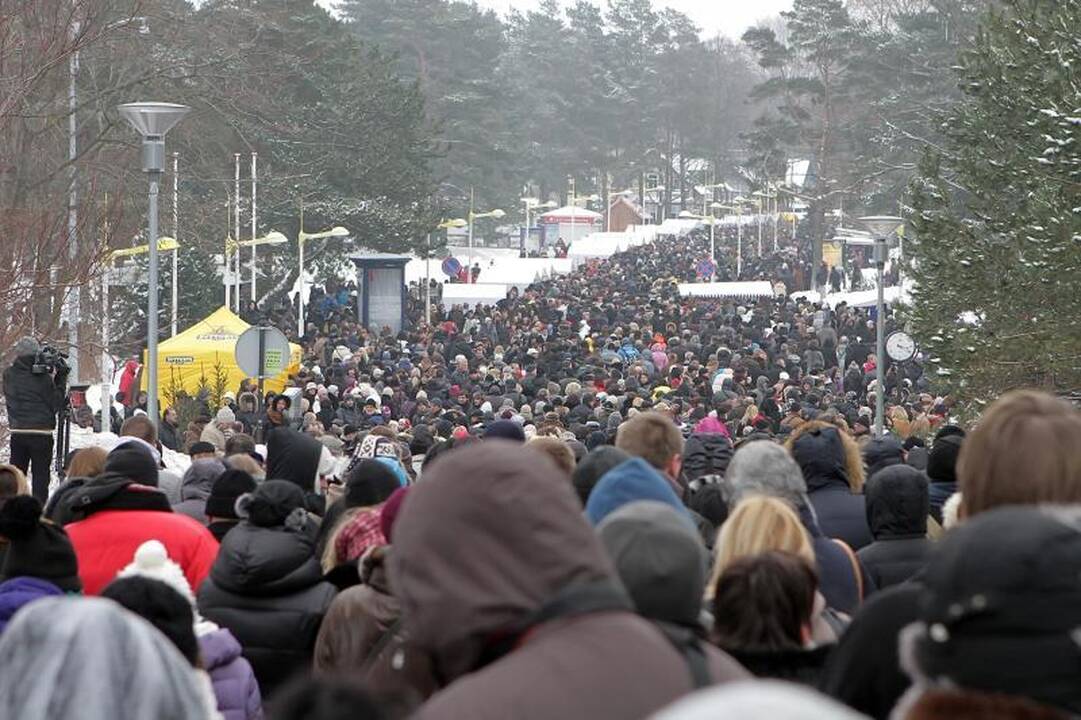Stintų šventėje Palangoje parduotas rekordinis kiekis žuvų