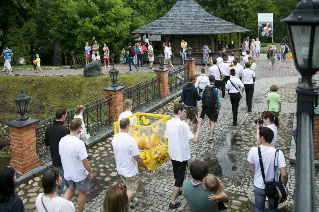Tradicinės ančiukų lenktynės šiemet – rekordinės 