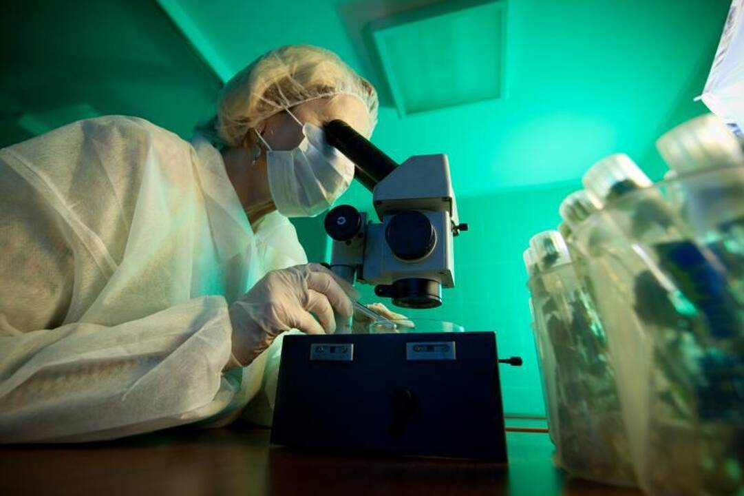 Sveikatą saugoti padeda ir tai, kad technologijos mus pasiekia vėliau
