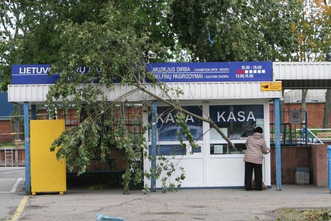 Sinoptikai: Klaipėdoje siautė labai smarki audra