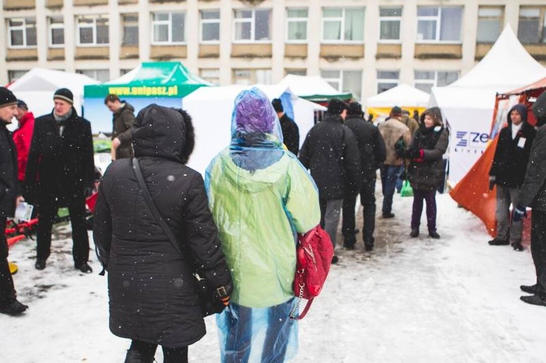 Sinoptikai: Klaipėdoje siautė labai smarki audra