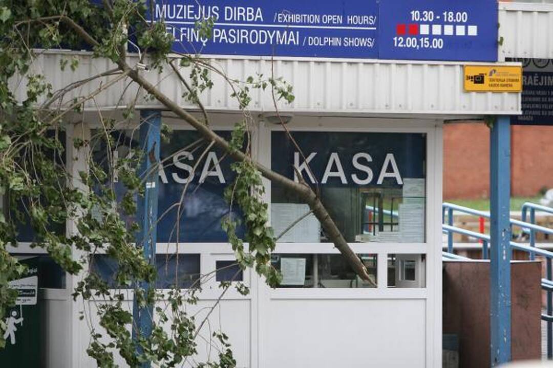 Sinoptikai: Klaipėdoje siautė labai smarki audra