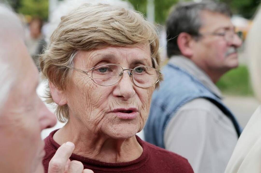 Žmonės protestavo prieš olandų atrakcionus (papildyta)
