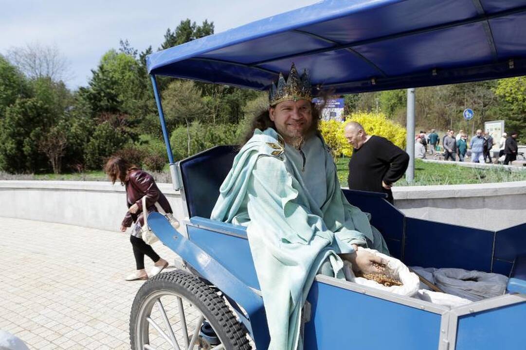 Per „Jamam“ Klaipėdos „Akropolyje“ apsipirko 61 tūkst. žmonių