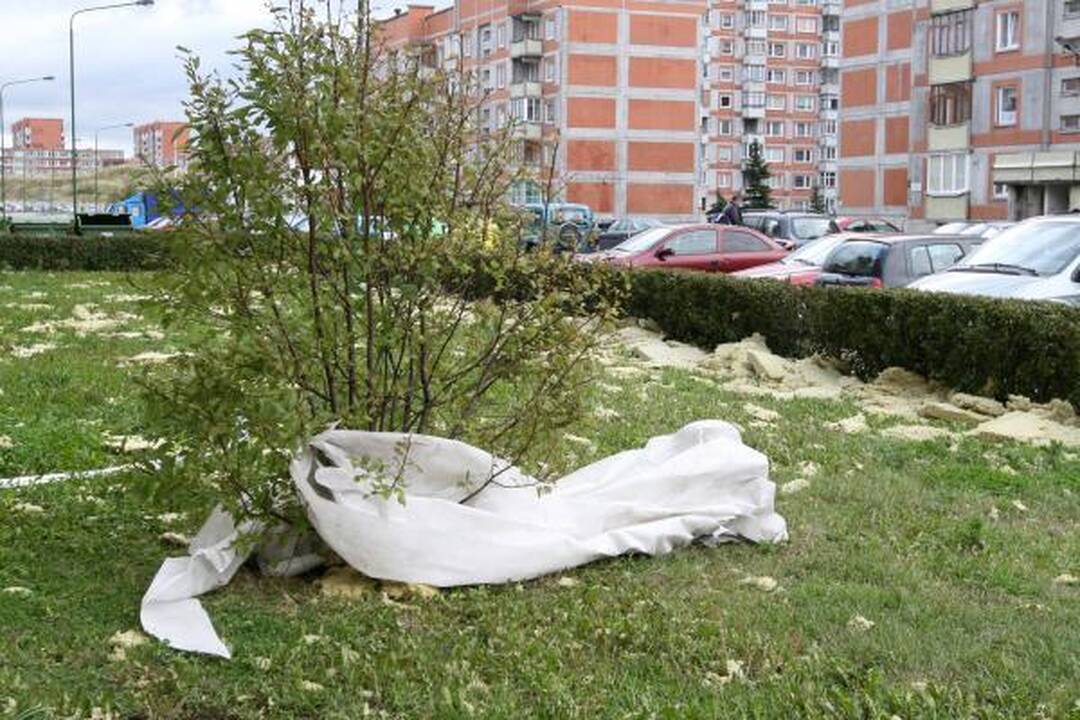 Sinoptikai: Klaipėdoje siautė labai smarki audra