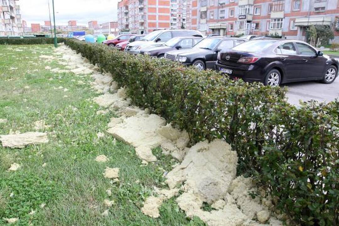 Sinoptikai: Klaipėdoje siautė labai smarki audra